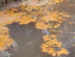 Diduga Minyak CPO Milik PT MPL Cemari Sunggai Instansi Terkait Diminta Turun Tanggan