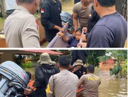 Polsek Beduai Bersama Sat Brimob Kompi Sanggau Evakuasi Warga Patah Tulang di Tengah Banjir