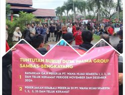 PT WHS PHK Sebayak 1.680 Karyawan Dampak Penyitaan Perkebunan Sawit Oleh Jaksa Agung