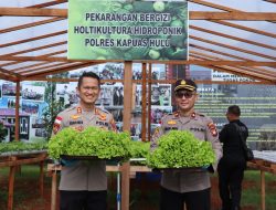 Kapolres Kapuas Hulu Panen Sayuran Hortikultura di Perkarangan Bergizi