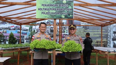 Kapolres Kapuas Hulu Panen Sayuran Hortikultura di Perkarangan Bergizi