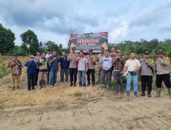 Sukseskan Ketahanan Pangan, Polres Ketapang Terus Lakukan Perluasan Lahan Tanaman Jagung Hibrida