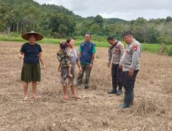 Wujud dukungan Polri terhadap ketahanan pangan Pamatwil Mempawah Hulu cek lahan penanaman jagung