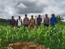 Kapolsek Meliau Tinjau Perkembangan Program Ketahanan Pangan di Kecamatan Meliau