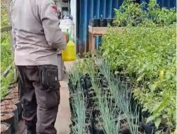 Polsek Benua Kayong Ajak Warga Tanam Perkarangan Bergizi di Halaman Rumah