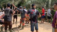 Diduga Hina Adat,, Puluhan Masyarakat Turun Pagar Jalan CPO PT. GKM