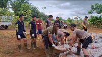 Kontribusi dalam Ketahanan Pangan, Personel Polres Bengkayang Bantu Pendistribusian Pupuk Mikroba Goggle