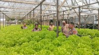 Kasat Binmas Polresta Pontianak Cek Lokasi Ketahanan Pangan di Pal Lima