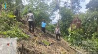 Pastikan Kesiapan Lahan Tanam dikecamatan Sompak, Pamatwil Lakukan Asistensi. 
