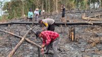 Polri dan Pemerintah Desa Dukung KWT AIK TUMILA dalam Tanam Jagung Serentak