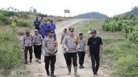 Pamatwil Polda Dan Kapolres Lakukan Supervisi Perkembangan Tumbuhan Jagung Hibrida di Ketapang