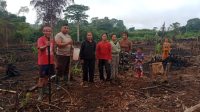 Polsek Jelai Hulu Bersama Warga Tanam Bibit Jagung Hibrida di Desa Pangkalan Suka