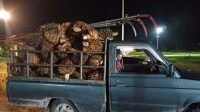 Polres Sambas Ringkus Dua Pencuri Sawit L dan A