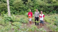 Dukung Ketahanan Pangan Bhabinkamtibmas Polsek Mempawah Hulu sambangi Petani Sayur