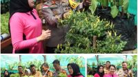 Launching Penguatan Program Perkarangan Pangan Lestari (P2L) di Wilayah Kabupaten Sanggau