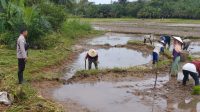 Bhabinkamtibmas Polsek Menjalin Sambangi Petani Di Sawah