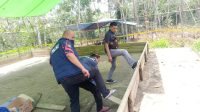 Tim Resmob Polres Sintang Bongkar Judi Kelang Sabung Ayam di Desa Bonet Engkabang