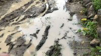 Penambang Diduga Ilegal Rusak Jalan, Masyarakat Minta Perbaikan Sebelum Alat Berat Diambil