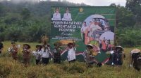 Dandim 1209/Bky Hadiri Panen Raya Padi Bersama Forkopimda Bengkayang