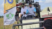 Bupati Kayong Utara Panen Raya Serentak di Desa Padu Banjar, Ini Pesannya