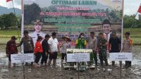 Sinergi Pemerintah dan TNI-Polri dalam Penanaman Padi Perdana di Kecamatan Sengah temila