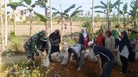 Babinsa dan Petani Gotong Royong Perbaiki Jalan Menuju Sawah di Kelurahan Setapuk Kecil