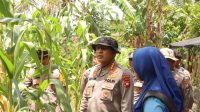 Polda Kalbar Laksanakan Asistensi Program Ketahanan Pangan di Wilayah Polsek Kapuas