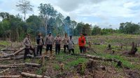 Polsek Kuala Behe Cek Persiapan Lahan Untuk Penanaman Jagung, Dukung Ketahanan Pangan