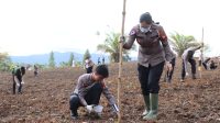 Polwan Polres Melawi Turut Serta Menanam Jagung
