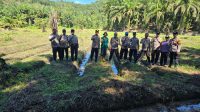Polsek Sengah Temila Siapkan Lahan Percontohan Jagung Dukung Ketahanan Pangan