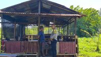 BHABINKAMTIBMAS TANJUNG HILIR DUKUNG KETAHANAN PANGAN DENGAN SAMBANG WARGA PEMELIHARA KAMBING