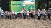 Polsek Kendawangan Laksanakan Kegiatan Penanaman Jagung Hibrida di Desa Danau Buntar