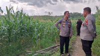 Kabid TIK Polda Kalbar Asistensi Program Ketahanan Pangan di Mempawah Hulu.