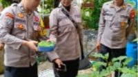 Polsek Pontianak Kota Bersama Warga Cek Progres Program P2B Dukung Ketahanan Pangan