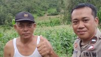 Ciptakan kemandirian pangan , Polsek Mempawah Hulu aktif cek progres penanaman jagung.