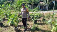 Polsek Sebangki Apresiasi Upaya KWT Anggrek dalam Program Pekarangan Pangan Lestari