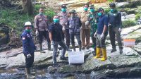 Polsek Air Besar Dampingi BKSDA Lakukan Pelepasan Satwa di Lindungi ke Habitatnya