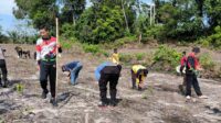 Penanaman Bibit Jagung Hibrida R1 Nusantara Oleh Personil Polsek Ngabang