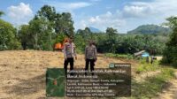 Pemanfaatan Lahan Tidur, Polsek Sengah Temila Gagas Program Jagung Percontohan”