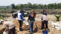 Kapolsek Mandor Bersama Anggota Laksanakan Pengolahan Lahan Jagung Percontohan di Desa Pongok