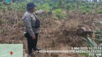 Polsek Nanga Tayap laksanakan Pengecekan Lahan Masyarakat yang di Manfaatkan untuk Menanam Jagung Hibrida