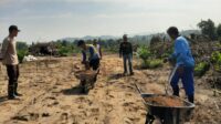 Semangat Gotong Royong, Polsek Mandor Olah Lahan 4 Hektar untuk Penanaman Jagung Percontohan