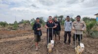 Polsek Jelai Hulu Tanam Jagung Hibrida Dengan Kelompok Tani Jelai Makmur di Dusun Celengan Desa Deranuk Kec. Jelai Hulu