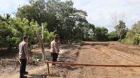 Upayakan Peningkatan Hasil Tanaman Jagung, Polres Ketapang Kembali Siapkan Lahan Penanaman Jagung
