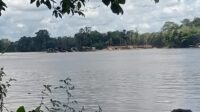 “PETI di Sintang: Ada Mesin, Ada Sungai, Tak Ada Negara”