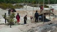 Marak PETI di Desa Peniti: Diduga Ada Setoran Keamanan dan Solar Subsidi, Penegak Hukum Dituding Abai