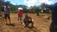 Kapolsek Sebangki Bersama BPP dan Poktan Sumber Rezeki Laksanakan Penanaman Jagung di Desa Sebangki