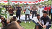 Peringati Hari Raya Idul Adha 1446 H, Polresta Pontianak Laksanakan Penyembelihan dan Penyaluran Hewan Qurban