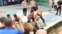 Wujudkan Polri yang Humanis, Polres Sanggau Gelar Pemotongan Hewan Kurban Idul Adha 1446 H