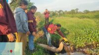 Dugaan Pencemaran Sungai Kapuas oleh PT BPG: Polisi dan DLH Sudah Bertindak